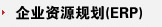 ҵԴ滮ERP